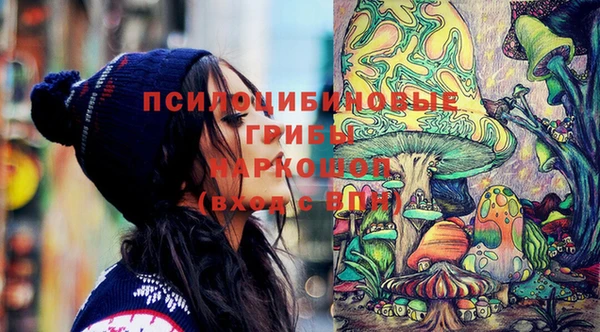 ешки Белокуриха