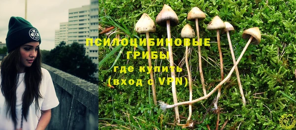 скорость Семёнов