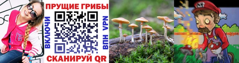 где продают Саяногорск Псилоцибиновые грибы мухоморы