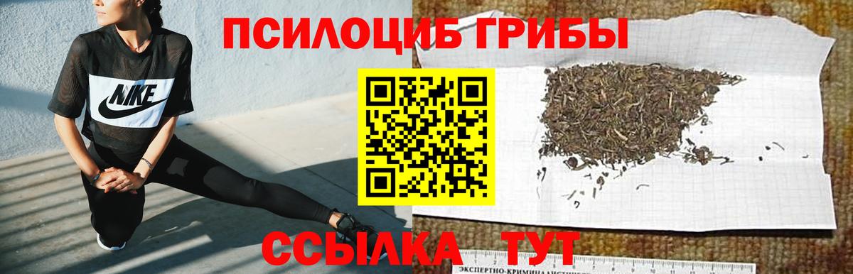 Псилоцибиновые грибы Magic Shrooms  где продают   Саяногорск  Вход с VPN 